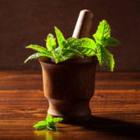 Grow Your Own Peppermint Tea