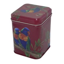 Rainbow Lorikeet Tin