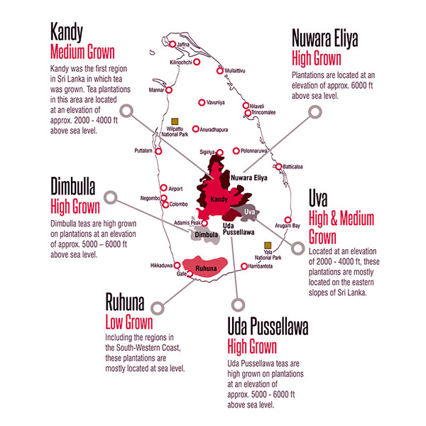 Ceylon Growing Regions